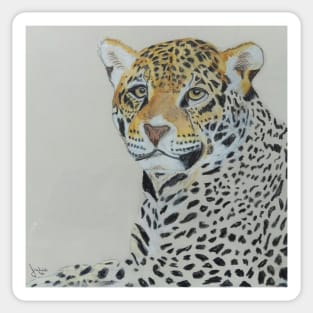 Lonley Leopard Sticker